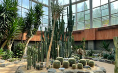 부천식물원 관련 사진