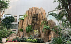 부천식물원 관련 사진