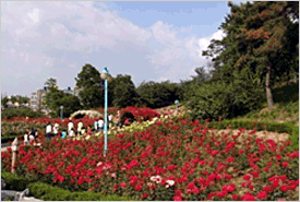 Dodang Park