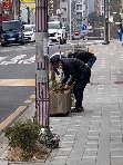 [2022년 3월] 소사본3 마을자치회 꽃묘 식재 활동