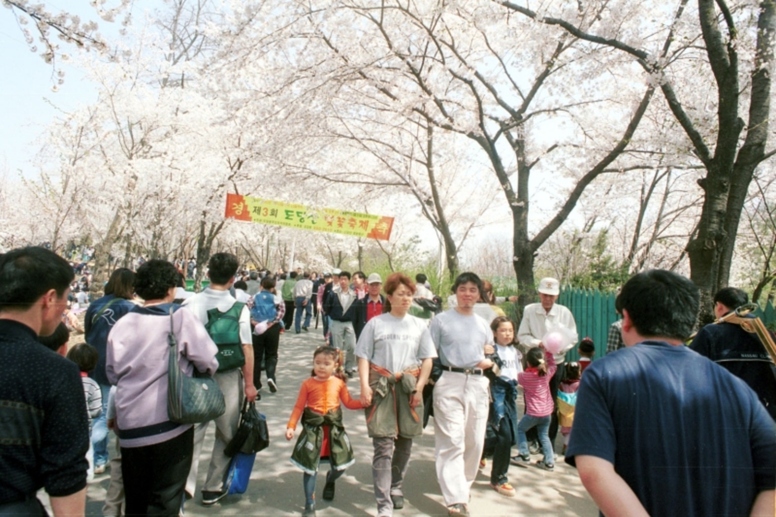 도당산 벚꽃축제 이미지