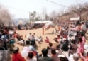 도당산 벚꽃축제12 이미지