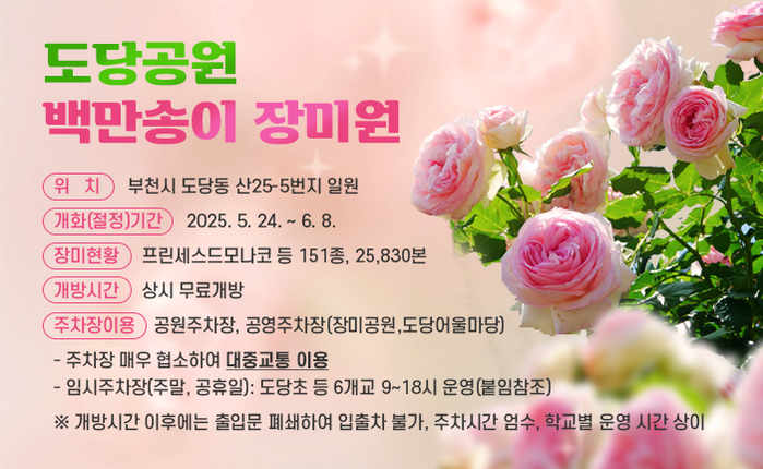〇 위치: 부천시 도당동 산25-5번지 일원 〇 개화(절정)기간: 2025. 5. 24. ~ 6. 8. 〇 장미현황: 프린세스드모나코 등 151종, 25,830본 〇 개방시간: 상시 무료개방 〇 주차장이용: 공원주차장, 공영주차장(장미공원,도당어울마당) 