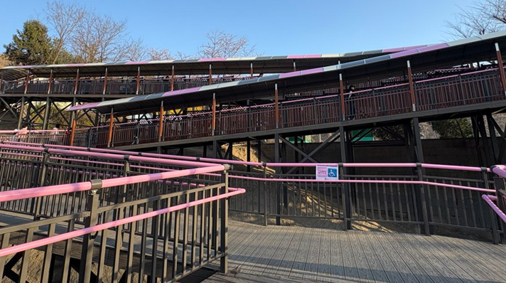 원미산 진달래동산 진입로 무장애 데크로드