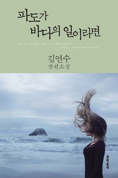 파도가 바다의 일이라면 표지