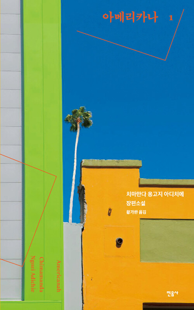 Book cover of Americanah