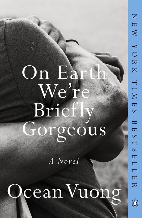 Book cover of On Earth We're Briefly Gorgeous
