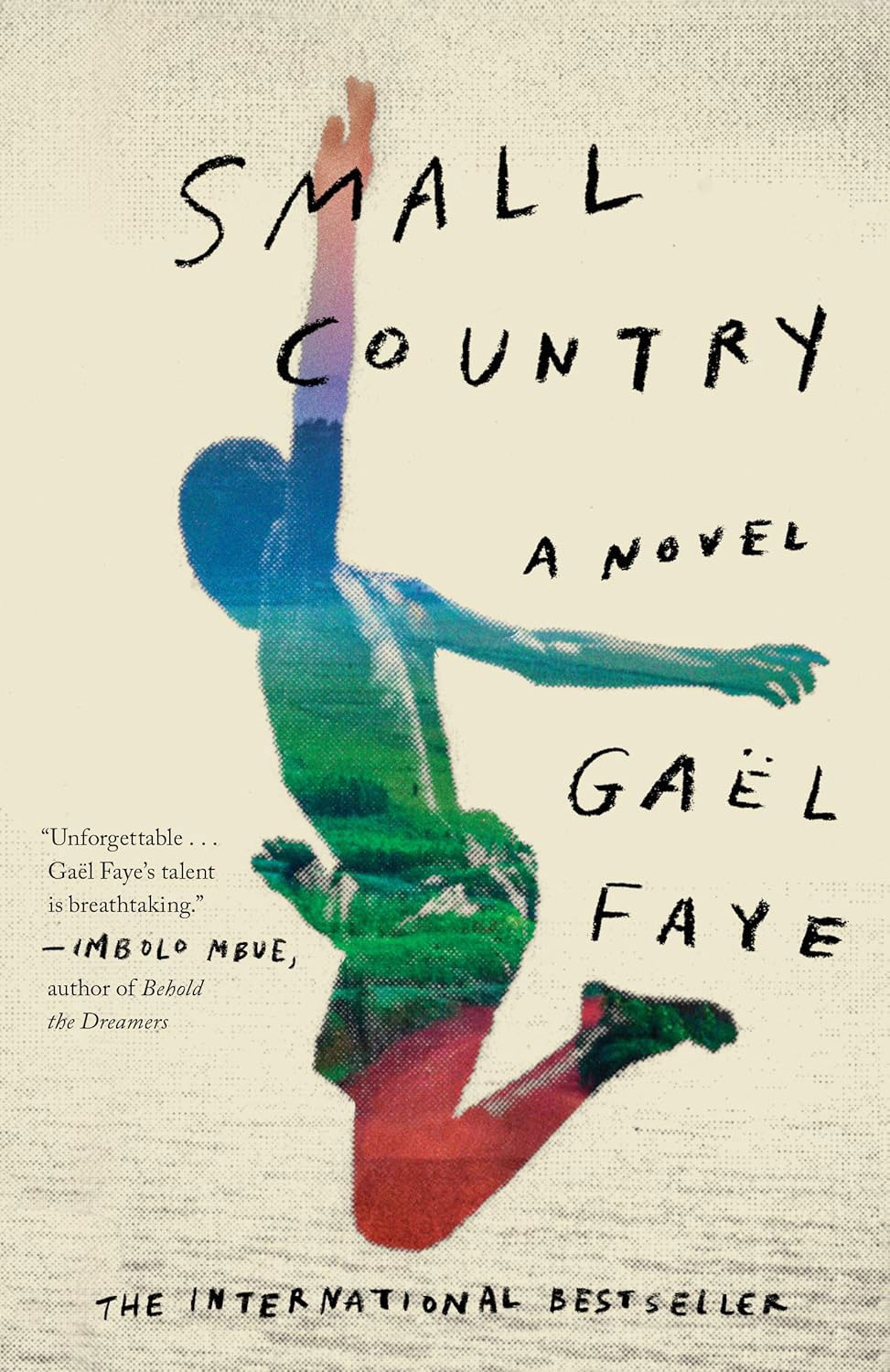 Book cover of Small country