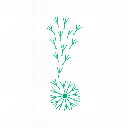 Identity Design