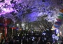 제21회 도당산 벚꽃축제9 이미지