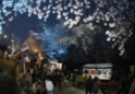 제21회 도당산 벚꽃축제18 이미지
