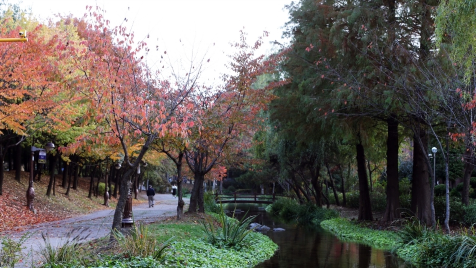 상동 시민의 강 가을풍경 이미지