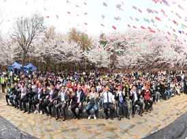 제26회 도당산 벚꽃축제