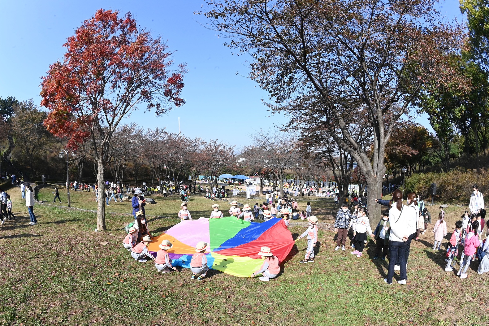 부천 유아숲 축제 이미지