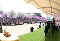 제23회 원미산진달래 축제1 이미지