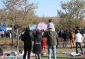 제25회 부천 도당산 벚꽃축제2 이미지