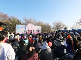 제25회 부천 도당산 벚꽃축제