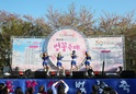 제25회 부천 도당산 벚꽃축제5 이미지