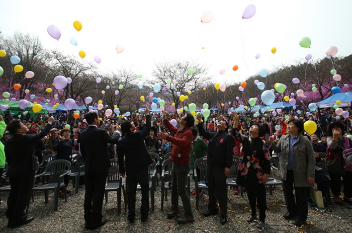 제17회 원미산 진달래축제